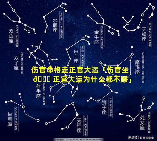 伤官命格走正官大运「伤官坐 🐎 正官大运为什么都不顺」